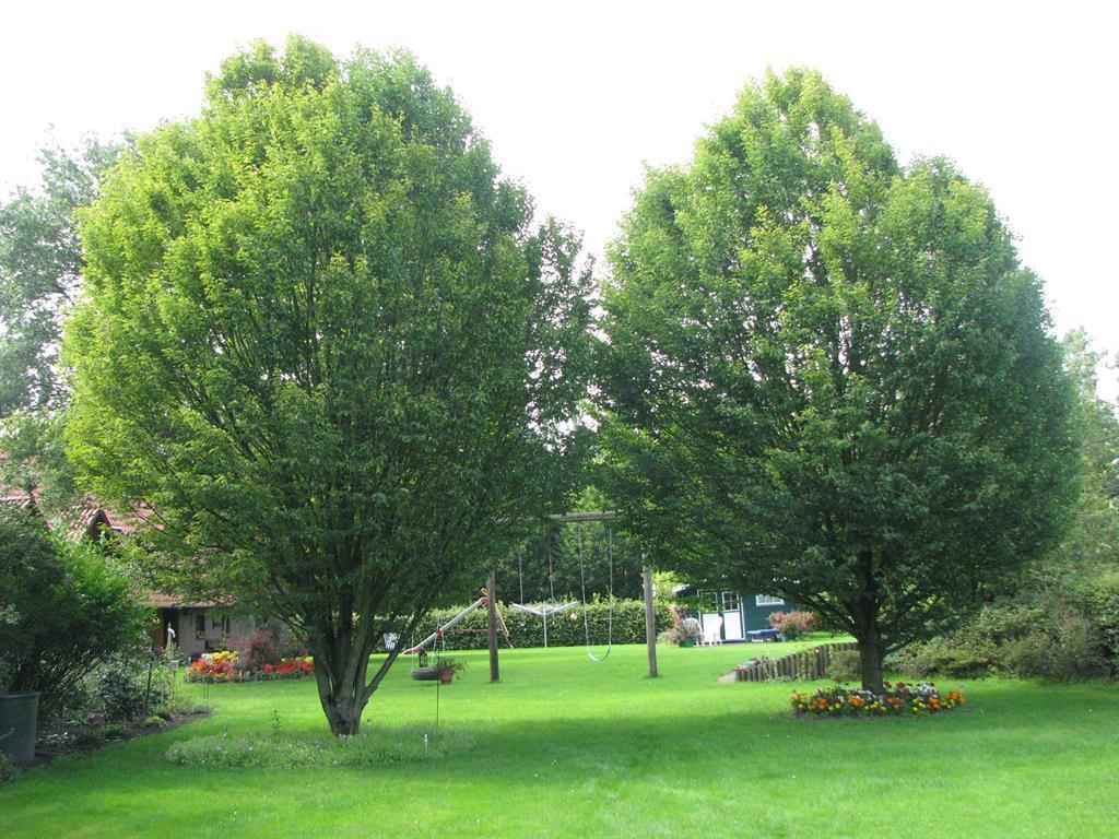 Appartamento Urlaubsdomizil Im Gruenen Westerstede Esterno foto