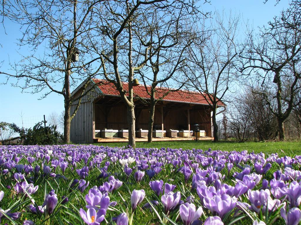 Appartamento Urlaubsdomizil Im Gruenen Westerstede Esterno foto
